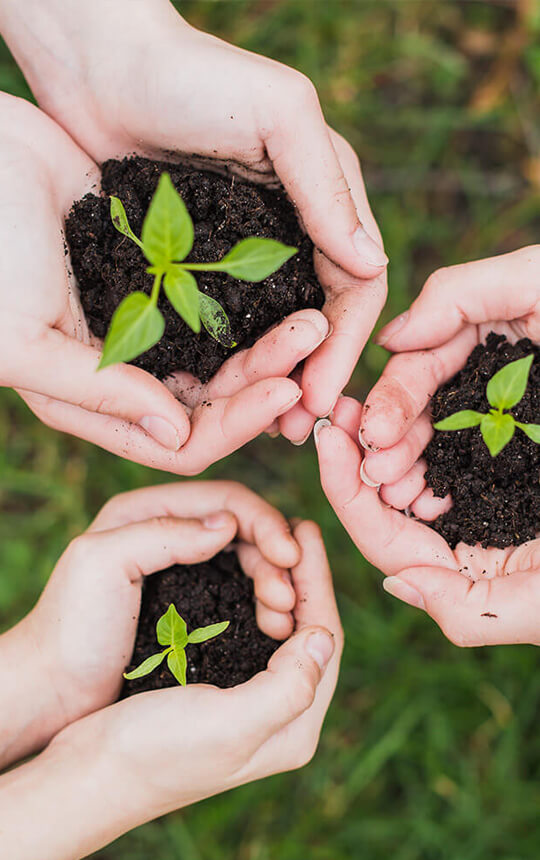 durabilite durabilite