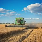 plantes-aquaponiques-ecologique