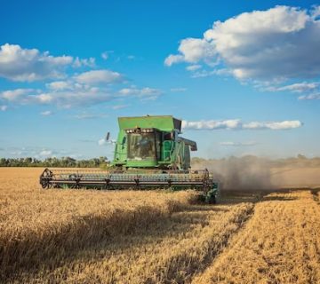 plantes-aquaponiques-ecologique