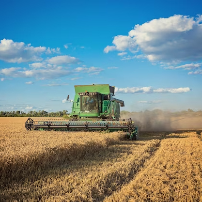 plantes-aquaponiques-ecologique plantes-aquaponiques-ecologique